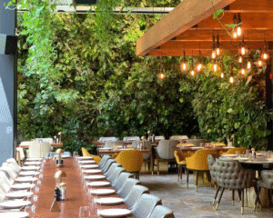 Vertical garden toronto