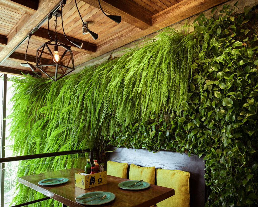 رستوران-زیگ-زاگ