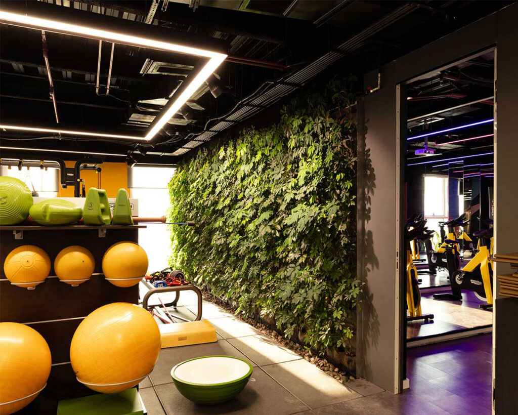 سام-اسپرت-هال